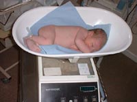Weighing in Thomas